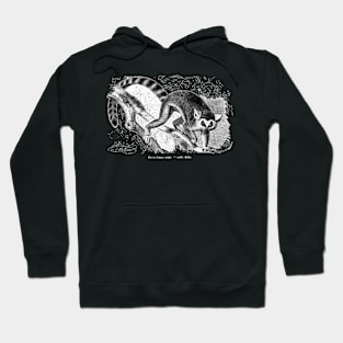 Lemur catta by Gustav Ludwig Heinrich Mützel Hoodie